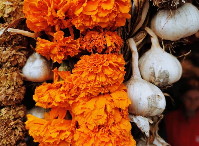 Gruzińskim targiem. Przepis na kulinarny trip preview