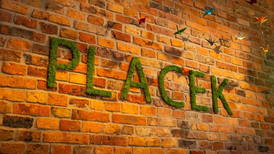 Zdjęcie restauracji PLACEK - restauracja bez pszenicy i cukru (Katowice)