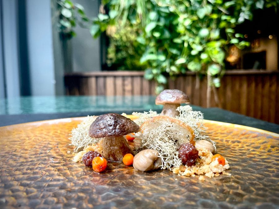 Zwierzyniec Beer&Rest