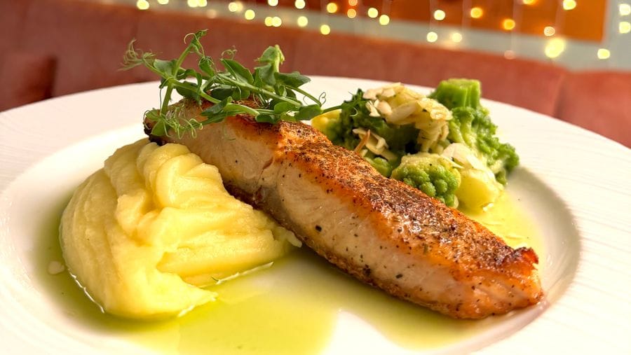 Pianta Pizza e Pasta